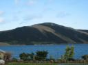 hokianga harbor - morning