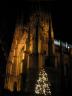 Cathedral, with Christmas tree