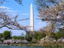 Washington Monument